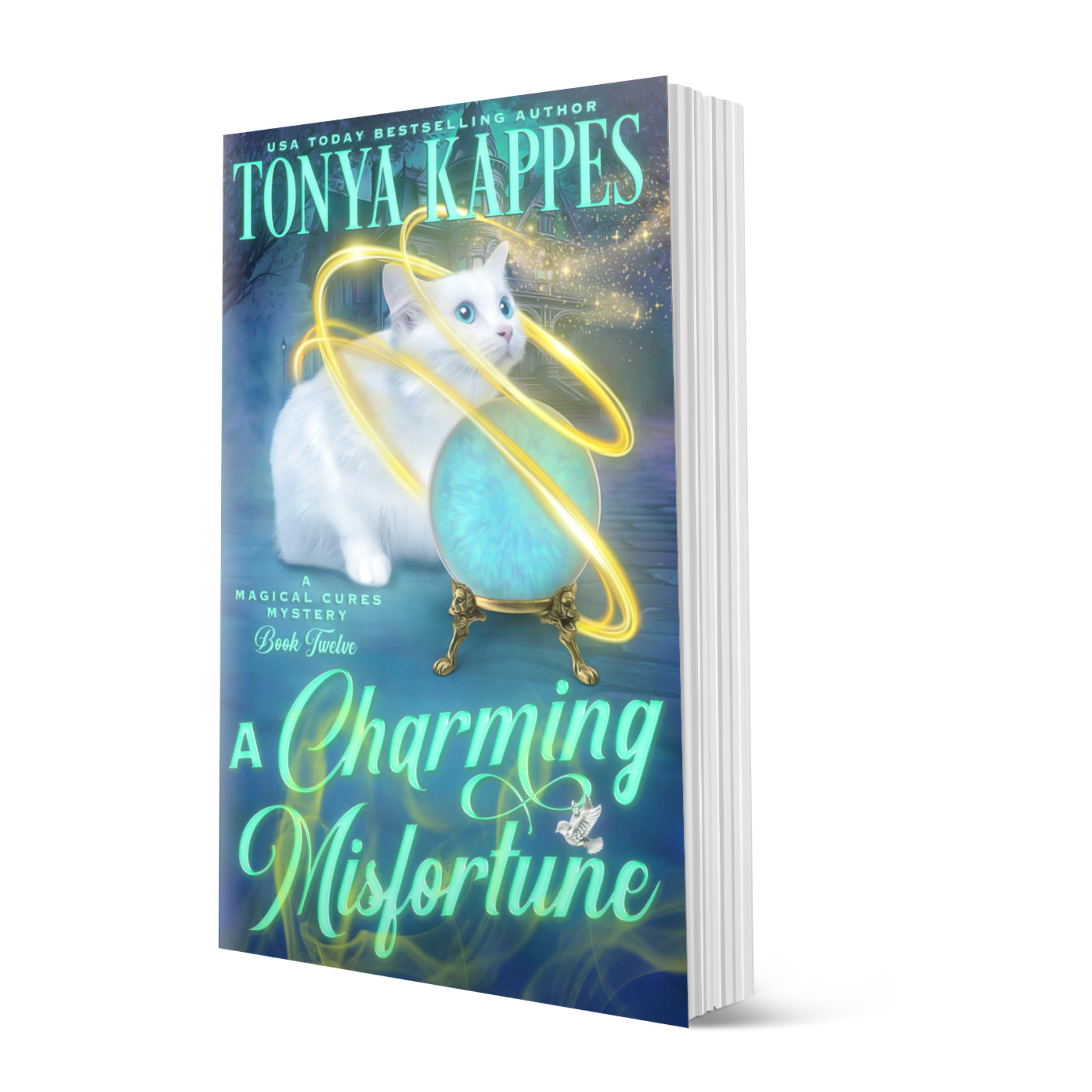 A Charming Misfortune - Book 12